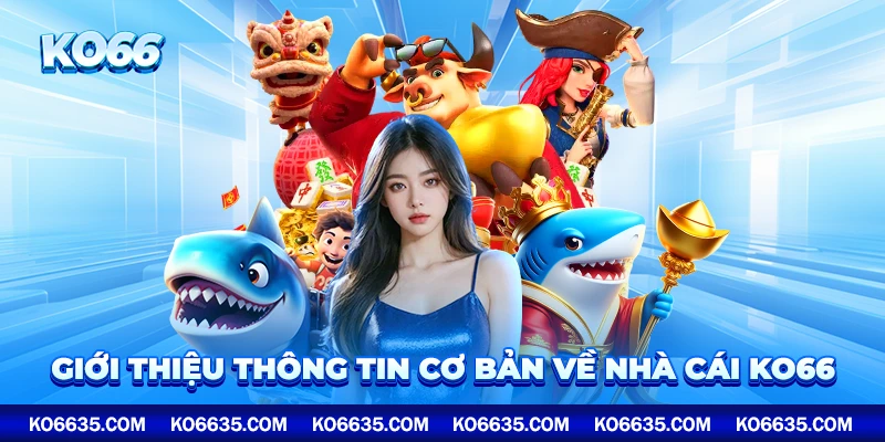 Giới thiệu thông tin cơ bản về nhà cái KO66