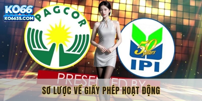 Sơ lược về giấy phép hoạt động